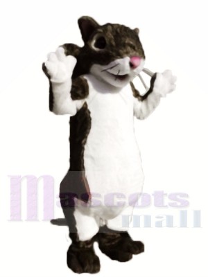 Mignon écureuil léger Costume de mascotte