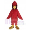 Oiseau cardinal costume de mascotte