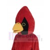Oiseau cardinal costume de mascotte