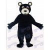 Costume de mascotte en peluche ours noir