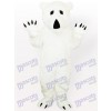 Costume de mascotte adulte animal ours polaire