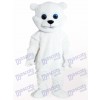 Costume de mascotte adulte petit ours blanc