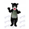 Mascotte de l'ours noir Costume adulte