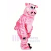 Belle Rose Porc Mascotte Les costumes Animal