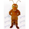 Costume de mascotte d'insecte de fourmi de Brown
