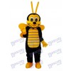 Mascotte des abeilles Costume adulte Insecte