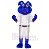 Bleu Chien avec blanc Costume Mascotte Les costumes Animal
