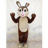 Nouveau costume de mascotte de lapin de Pâques au chocolat