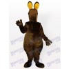 Costume de mascotte adulte kangourou type B