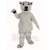 blanc Ours Mascotte Costume
