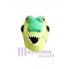 Alligator costume de mascotte