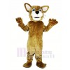 marron Chat sauvage Mascotte Costume Animal