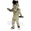 Gris Puissance Mustang Cheval Mascotte Costume