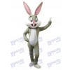 Lapin de Pâques Bugs Bunny Mascotte Costume Animal