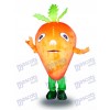 Carotte de légumes de carotte orange Légume de légume alimentaire