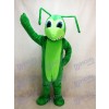 Insecte Costume Mascotte Grasshopper