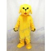 Nouveau mignon Golden Lab Mascotte de chien Costume Animal