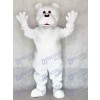 Costume mascotte mignonne d'ours blanc adulte Animal