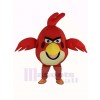 Haute Qualité rouge Oiseau Mascotte Costume
