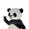 Panda costume de mascotte