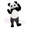 Mignonne Panda Costumes De Mascotte