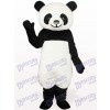 Costume de mascotte adulte noir Panda Animal