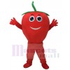 Tomate rouge mignonne avec le costume de mascotte de sourire