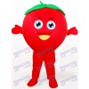Costume de mascotte adulte de fruits tomates souriant