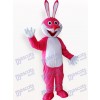 Costume de mascotte adulte de Pâques lapin rose animaux