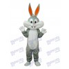 Lapin de Pâques Bugs Bunny mascotte Costume adulte Animal