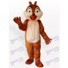 Costume drôle de mascotte d'animal de garçon d'écureuil d'adolescent
