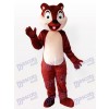 Écureuil brun minuscule avec un costume incisif de mascotte adulte