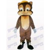 Joli Costume de mascotte adulte animal écureuil