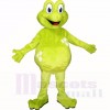 vert Poids léger La grenouille Costumes De Mascotte Dessin animé