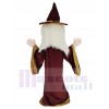 Sorcier Merlin costume de mascotte