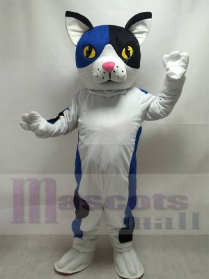 Chat Calico mignon Mascotte Costume Animal