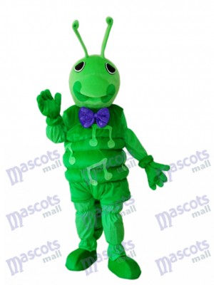 Verte Mascotte Costume adulte Insecte