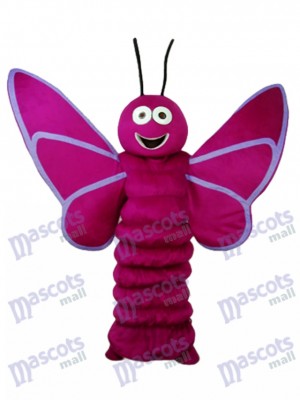 Mascotte de papillon violet pourpre adulte insecte