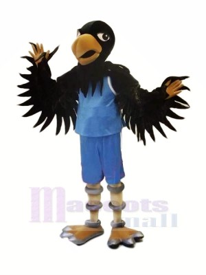 Noir faucon avec Bleu Costume Mascotte Les costumes Animal