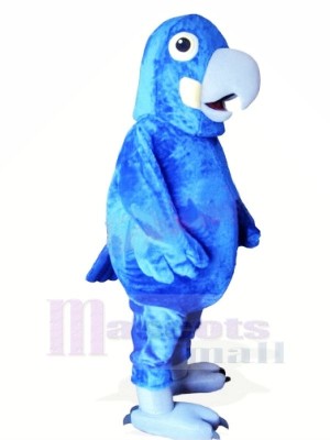Mignonne Bleu Perroquet Mascotte Les costumes Animal