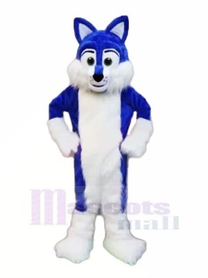 Bleu Velu Rauque Mascotte Les costumes Animal