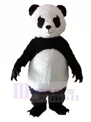 Panda avec Longue Les cils Mascotte Les costumes Animal