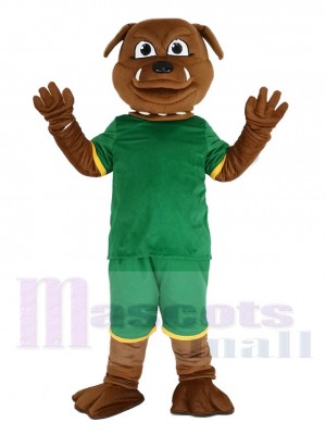 brun Bouledogue dans Vert Sweat-shirt Mascotte Costume