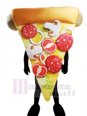 Haut Qualité Pizza Mascotte Costume Dessin animé