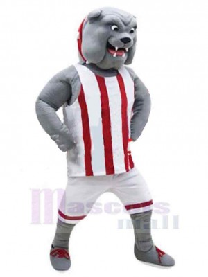 Bouledogue gris musclé Costume de mascotte Animal