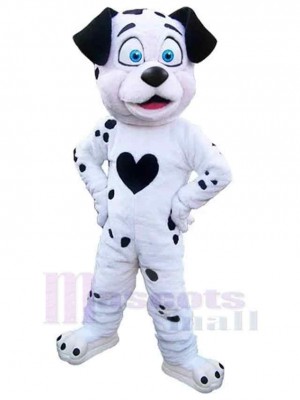 Dalmatien chien noir et blanc Costume de mascotte Animal aux yeux bleus