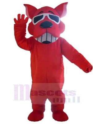 Lunettes De Soleil Souriantes Chien Rouge Costume de mascotte Animal