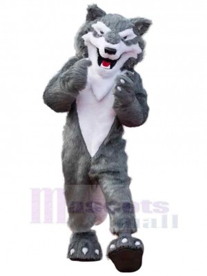 Bienveillant loup gris Costume de mascotte Animal