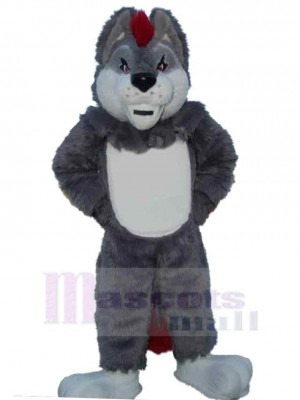 Loup gris sportif Costume de mascotte Animal aux cheveux roux
