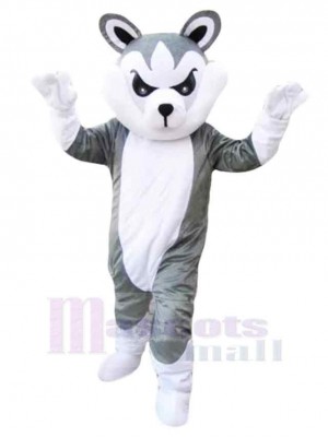 Loup gris de beau dessin animé Costume de mascotte Animal